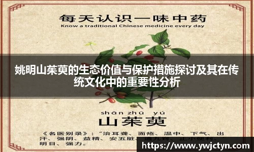 k1体育-十年品牌