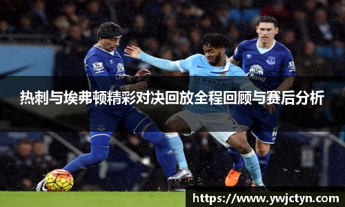 热刺与埃弗顿精彩对决回放全程回顾与赛后分析